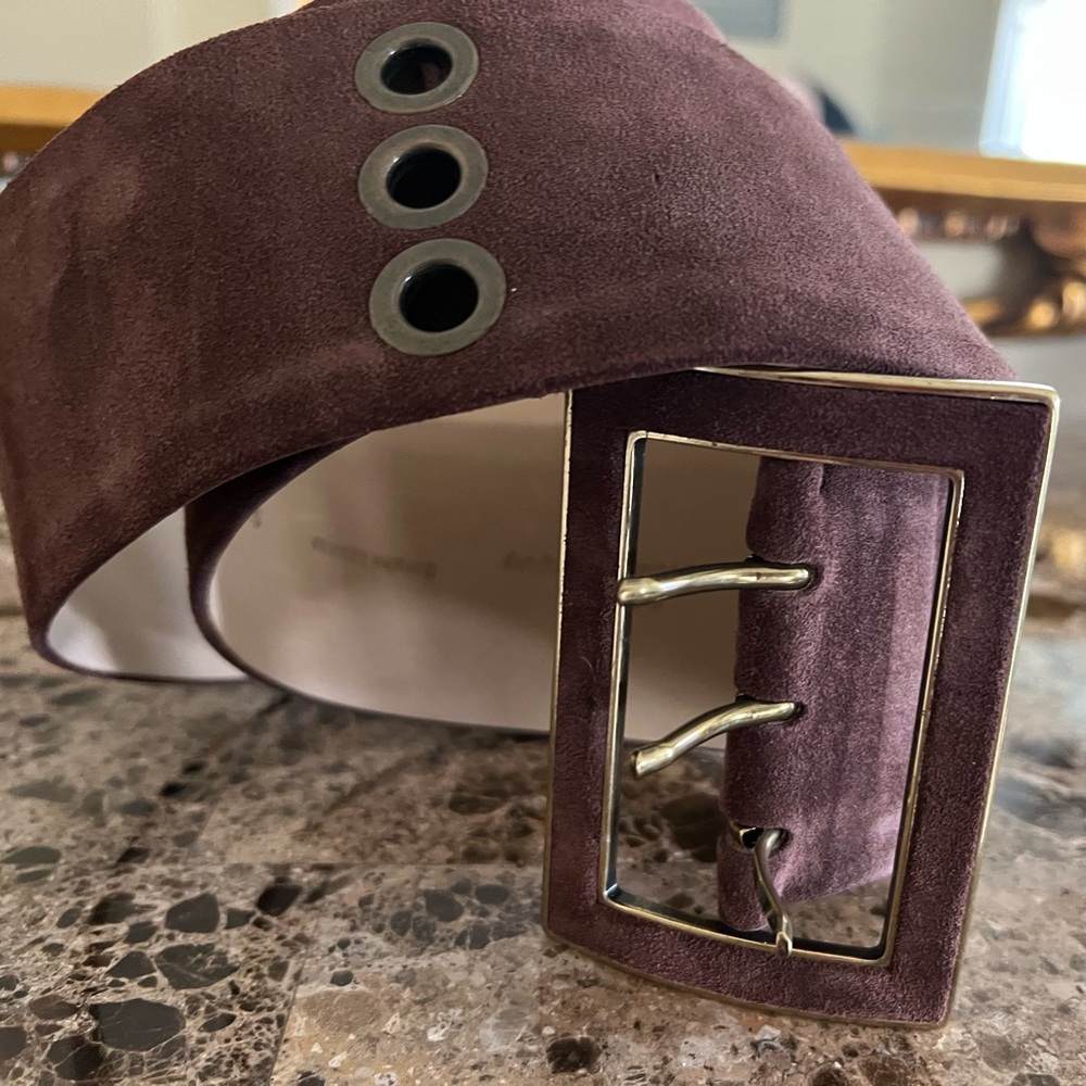 Wide Suede Belt with Gold Buckle - Plum